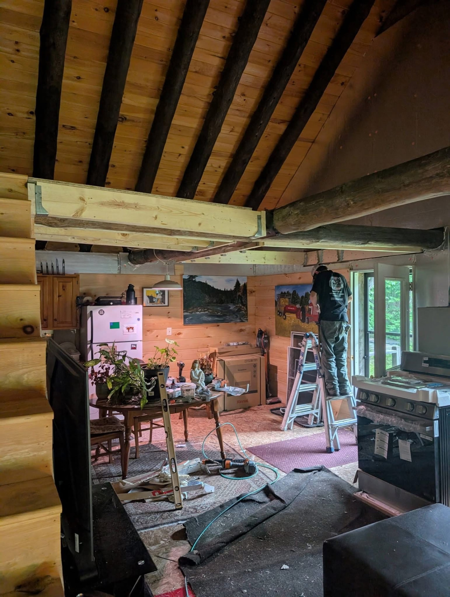 Interior Renovation